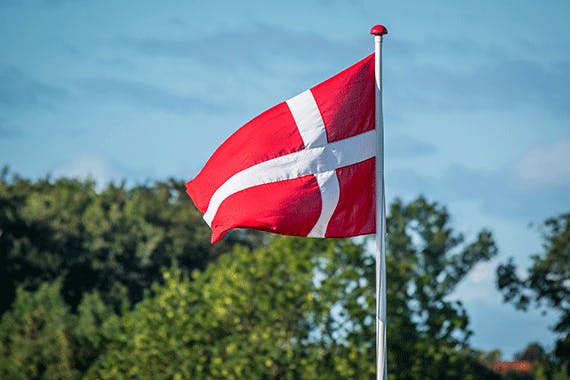 Dannebrog på flagstang foran træer og blå himmel.