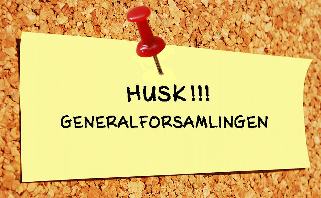 Generalforsamling i SMOF 2019