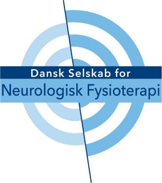 DSNF logo.jpg