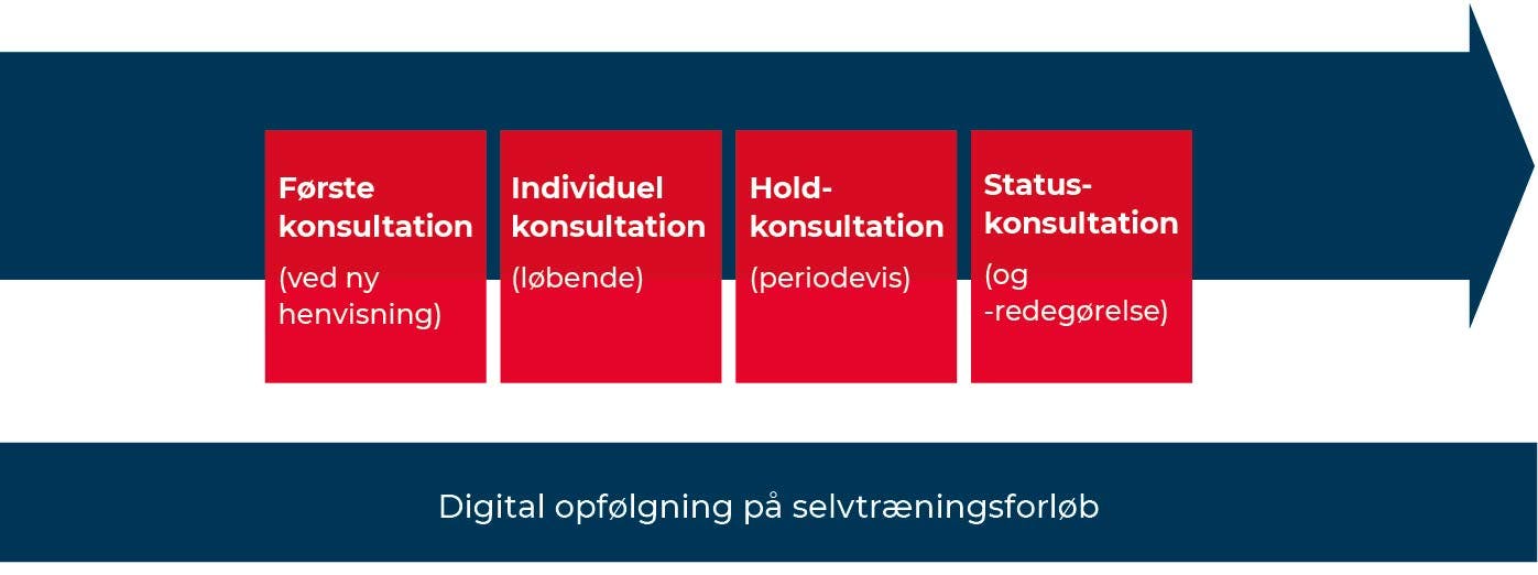 EFKOM-Forløb_FASE-4-beskaaret.png.jpg